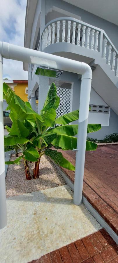 Villa Raven'S Paradise Willemstad Exterior foto