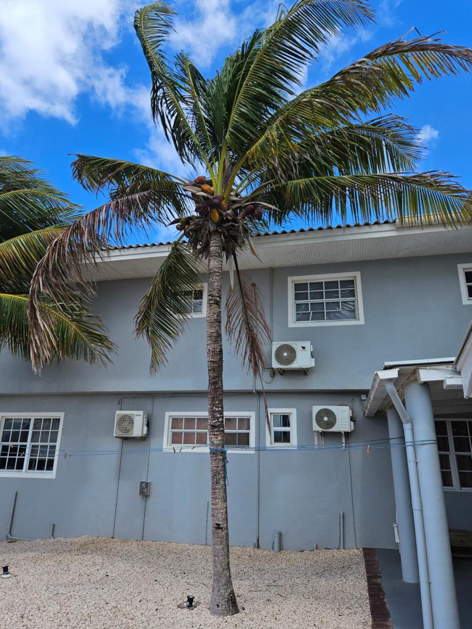 Villa Raven'S Paradise Willemstad Exterior foto