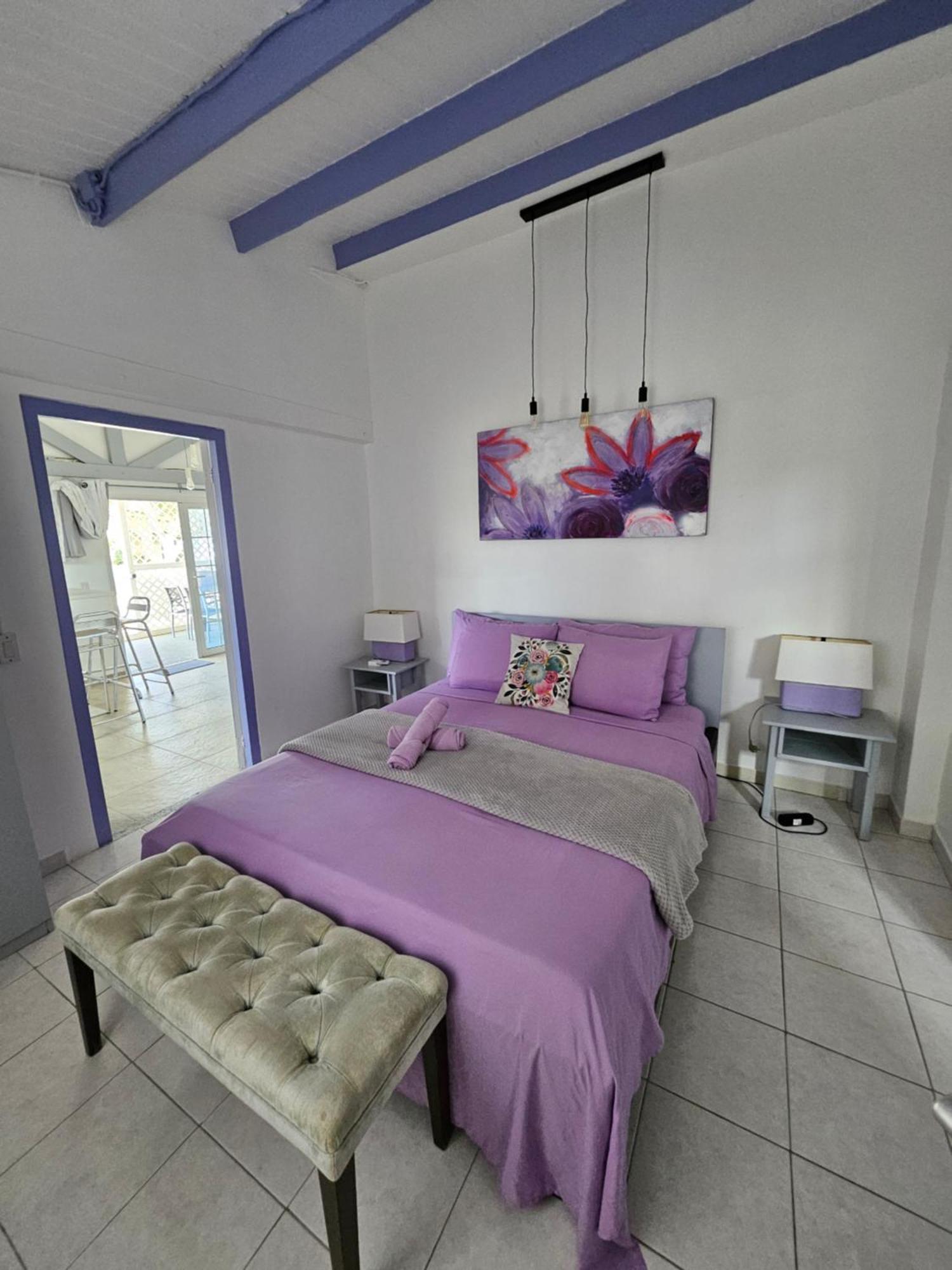 Villa Raven'S Paradise Willemstad Exterior foto